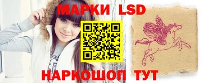 тгк Можга