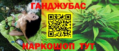 гидра Моздок