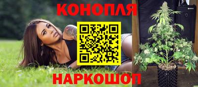 тгк Можга