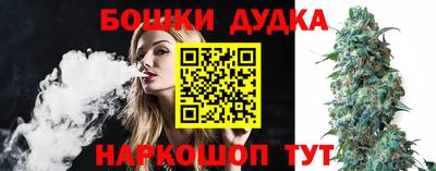 гидра Моздок