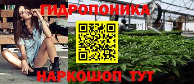 тгк Можга